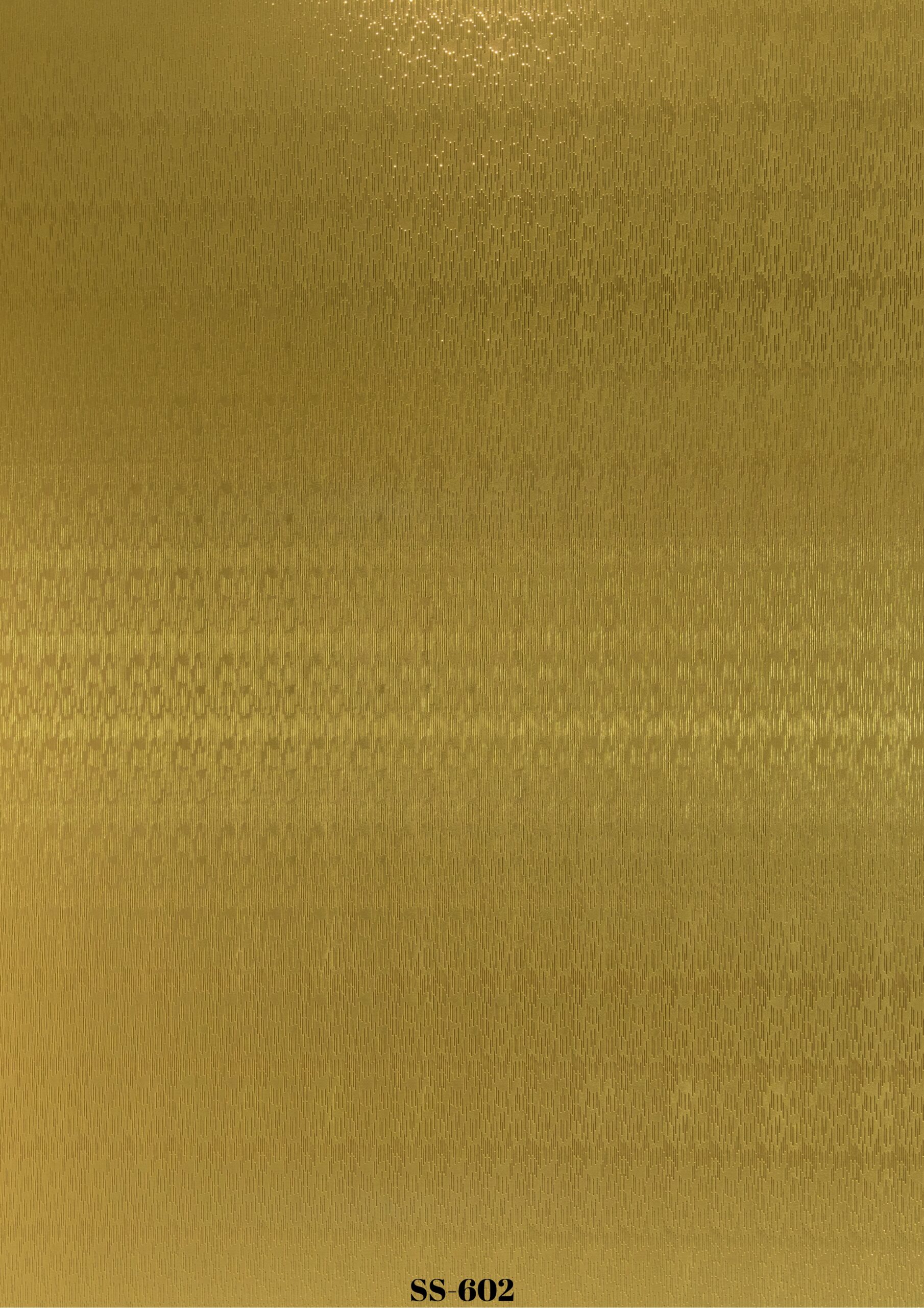 SS-602