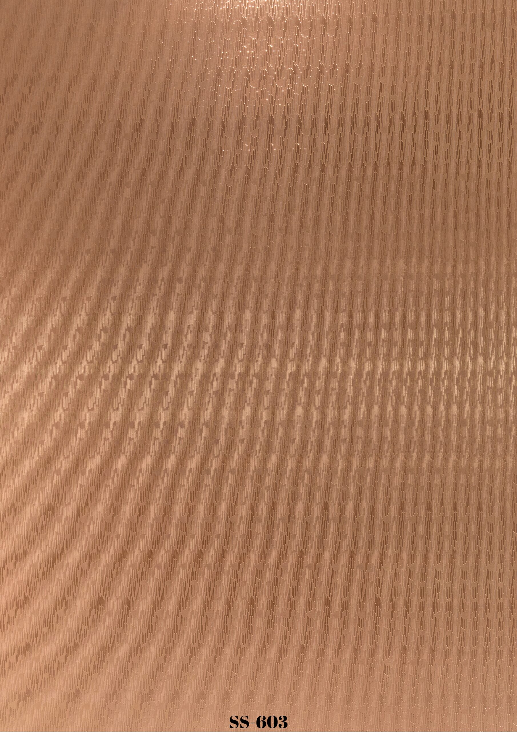 SS-603